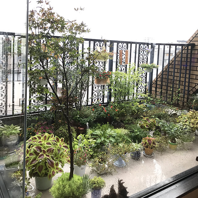 fuyiqian1026さんの実例写真