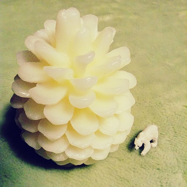 sugisakiさんの実例写真