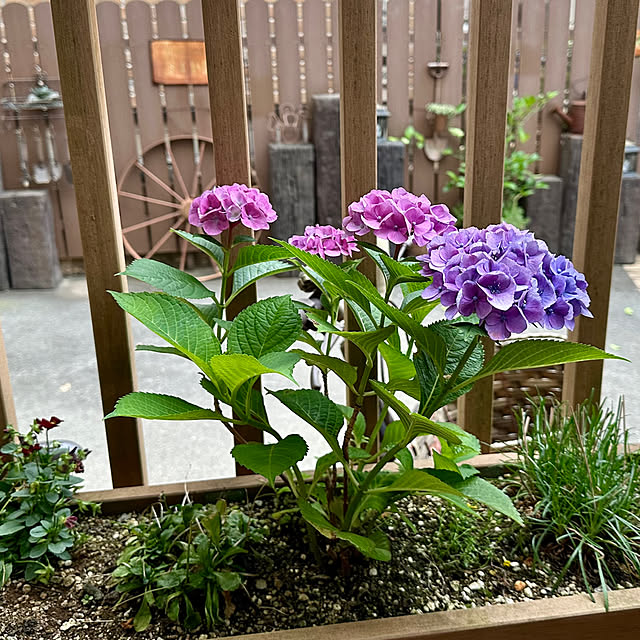 tabasaさんの部屋