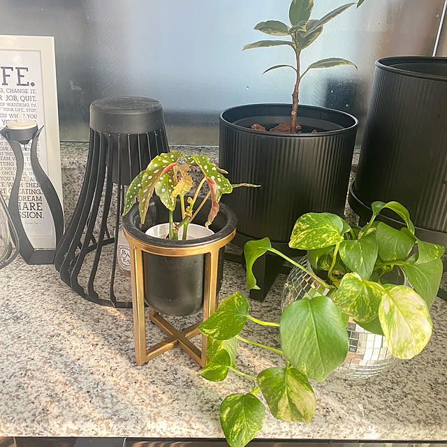 m.Reikoさんの実例写真