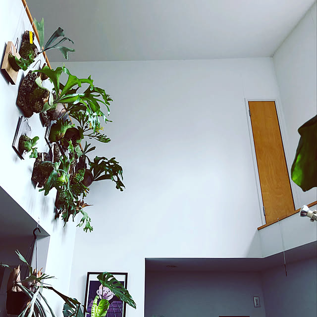 hiroさんの実例写真