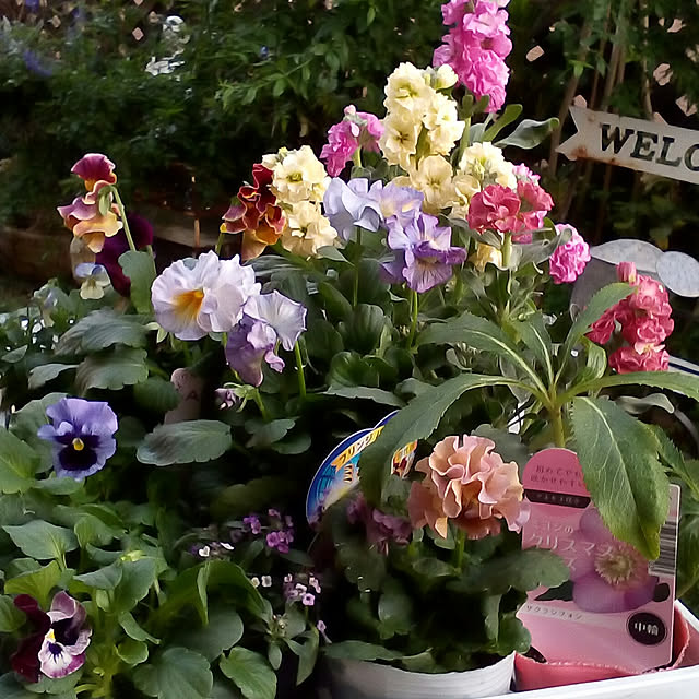 mariagardenさんの実例写真