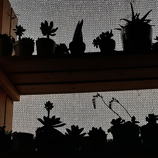 amtさんの実例写真