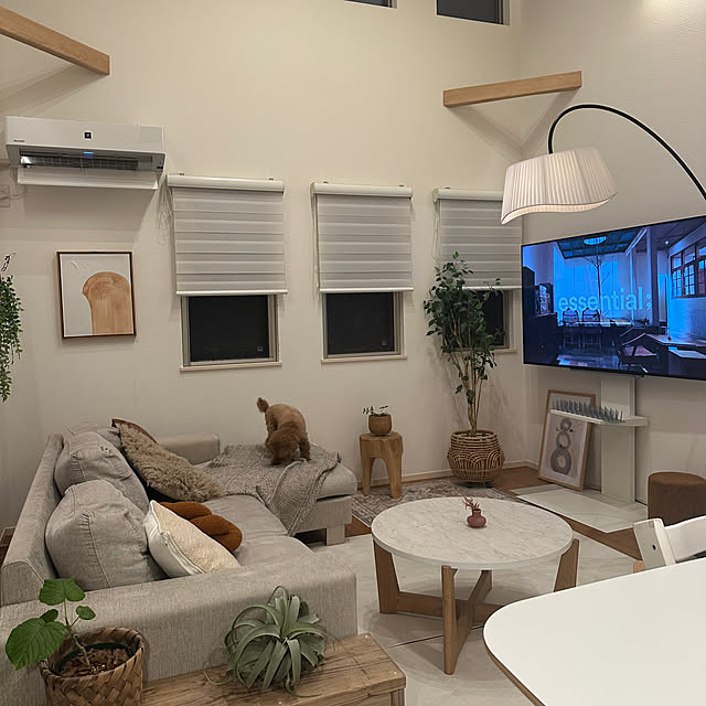 Tarutoさんの部屋