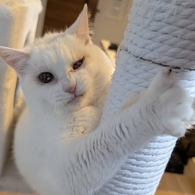 NOAHさんの部屋
