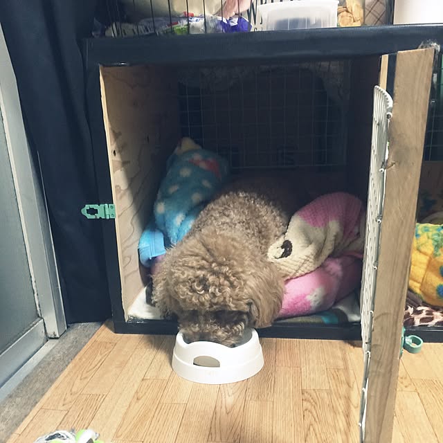 sei.kan.hede.chiyoさんの実例写真