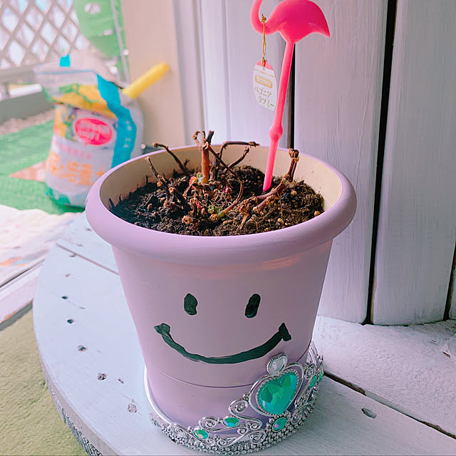 totoさんの実例写真