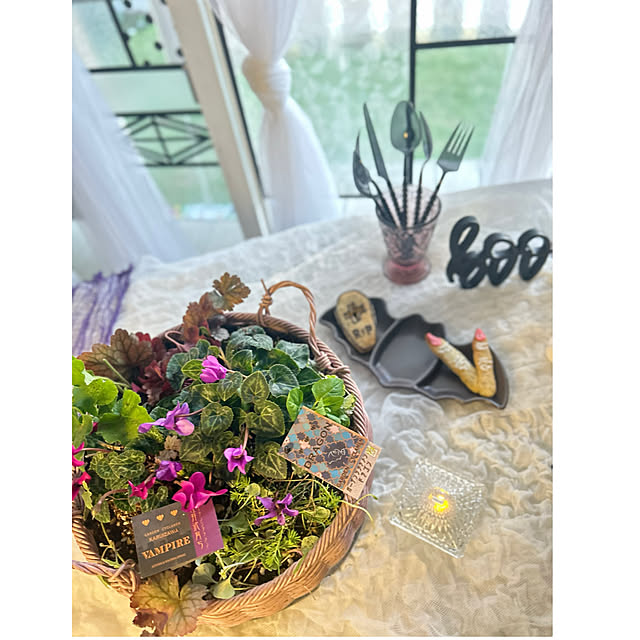 kittyさんの部屋