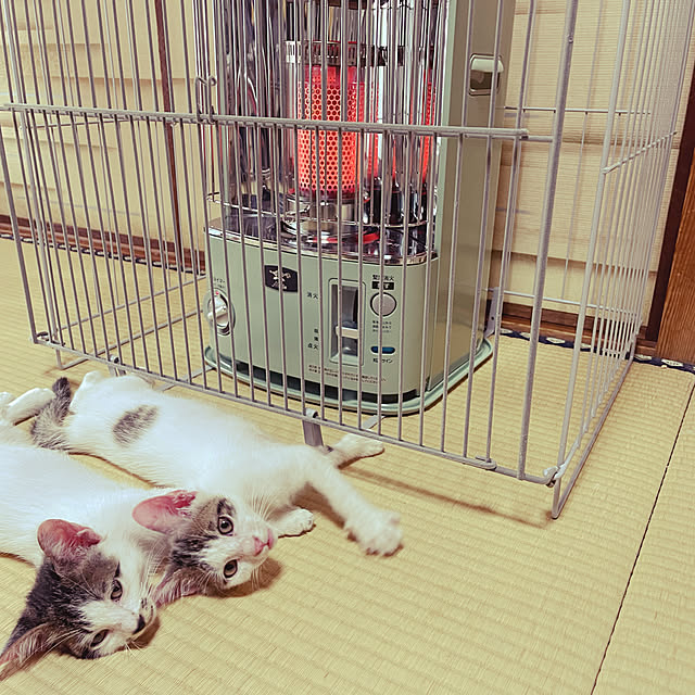 youさんの実例写真