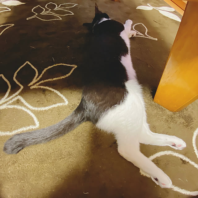 moolさんの実例写真