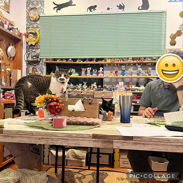 jijiさんの実例写真