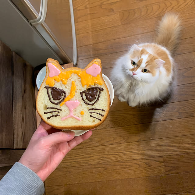 keiさんの実例写真