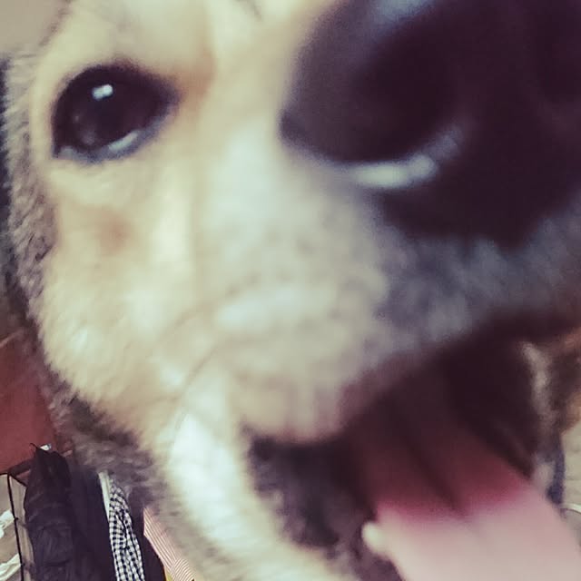 andさんの実例写真