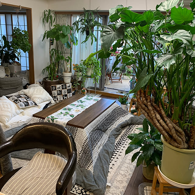 Aqettyさんの部屋