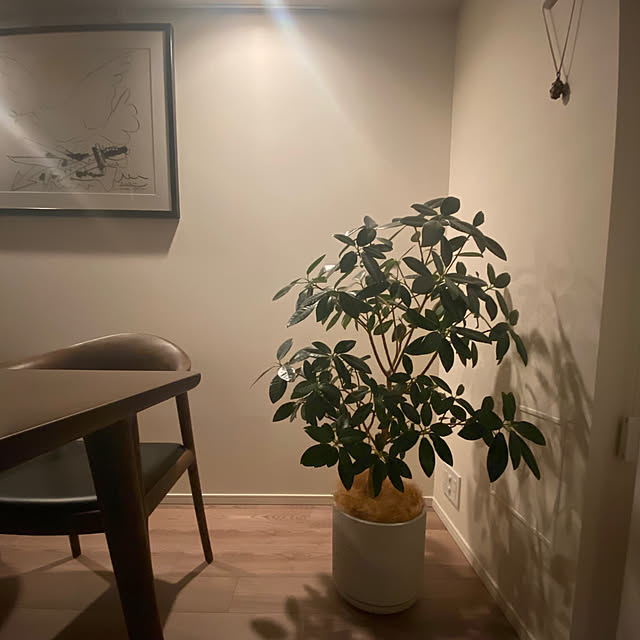 Ronnieさんの実例写真