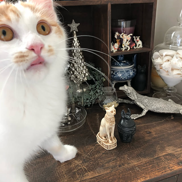 yuchiさんの実例写真