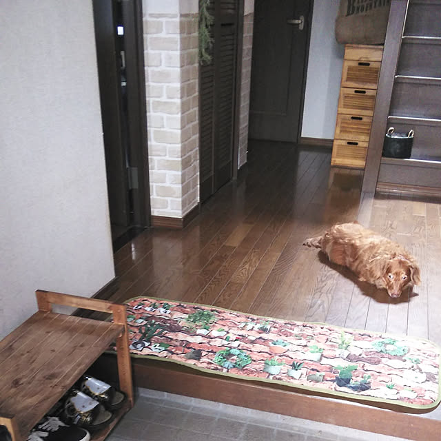 satoさんの実例写真
