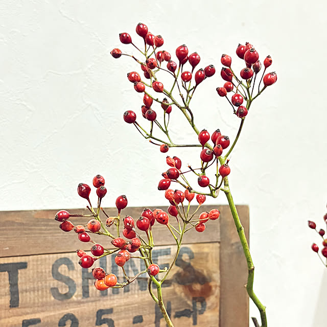 yukkoさんの部屋