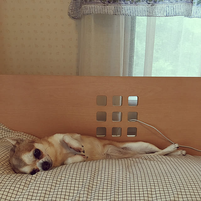 Hanagoboさんの実例写真