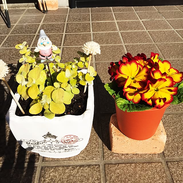 takakoさんの実例写真
