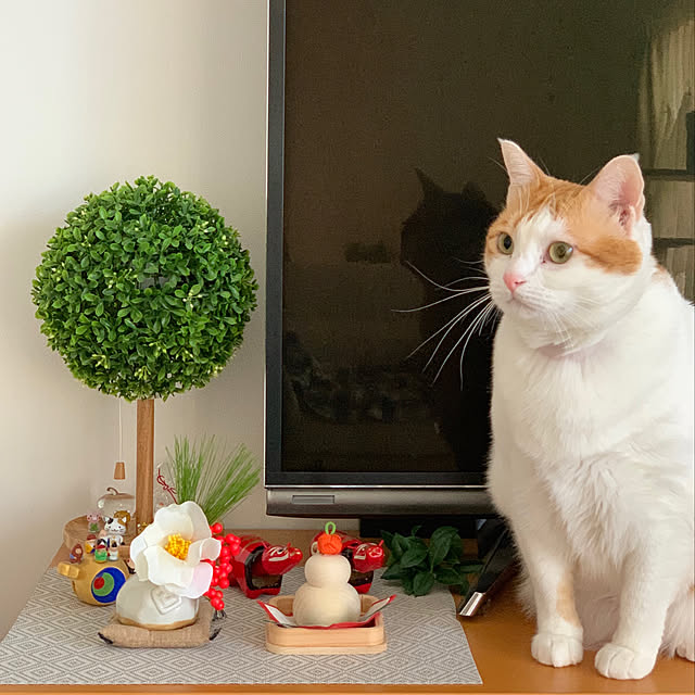 bikkeさんの実例写真