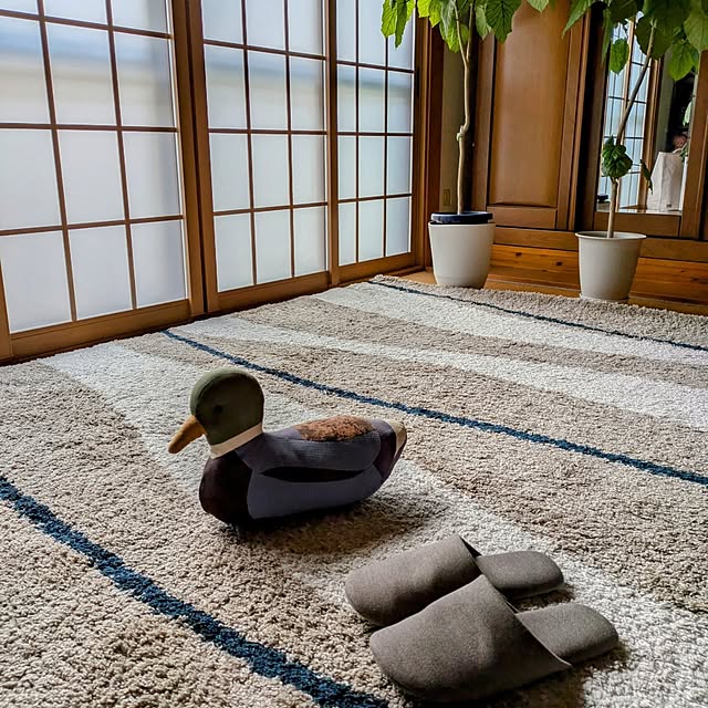 Renさんの実例写真