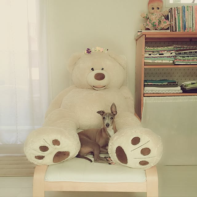 suzyさんの実例写真
