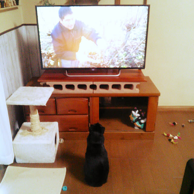 Tomopさんの実例写真