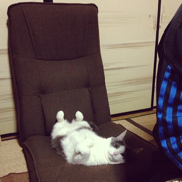 Chiiさんの実例写真