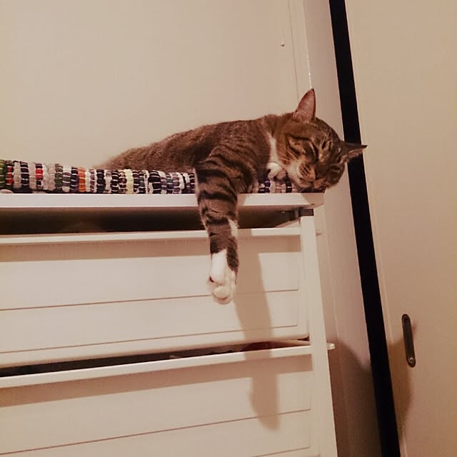 Lukiさんの実例写真