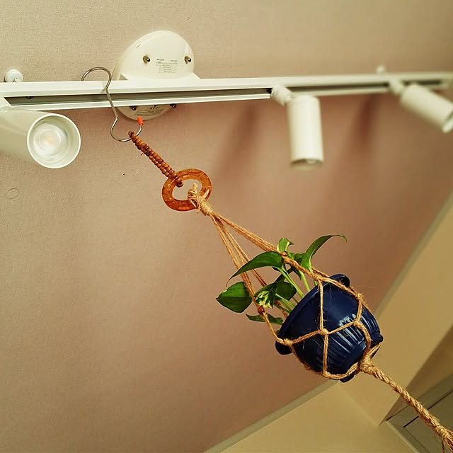 hatsumamyさんの実例写真