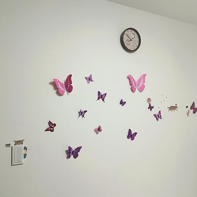mo_aliceさんの実例写真