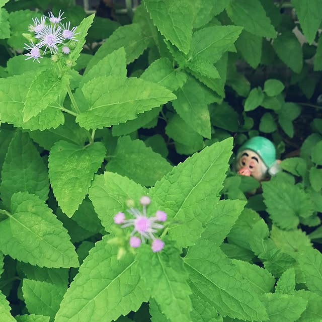 laraさんの実例写真