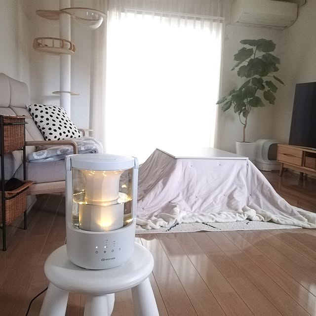 pinokoさんの実例写真