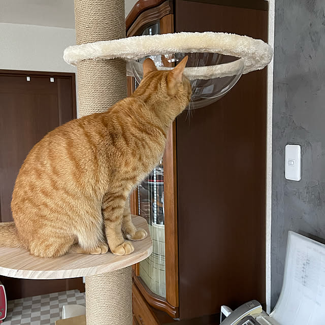 kikiさんの実例写真