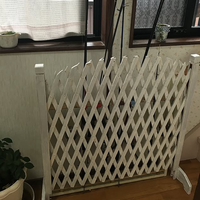 Ayaさんの実例写真