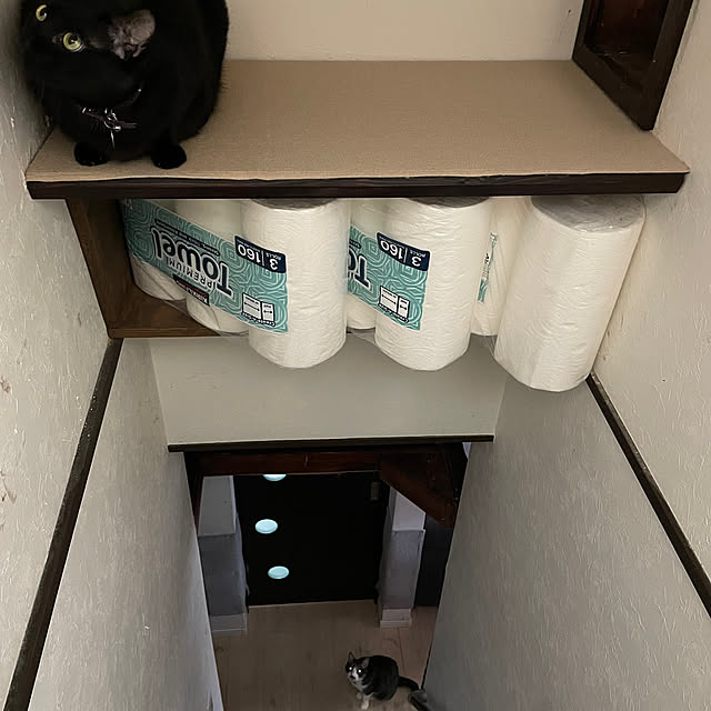 coolcats0528さんの部屋