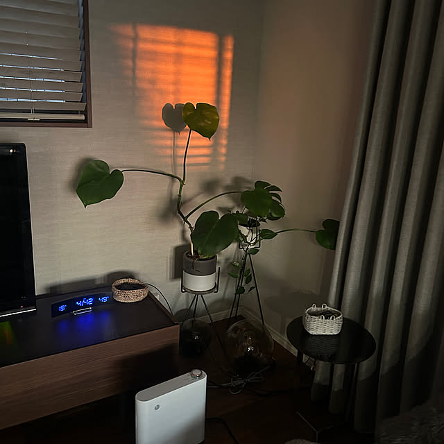 attt_0301carlさんの実例写真
