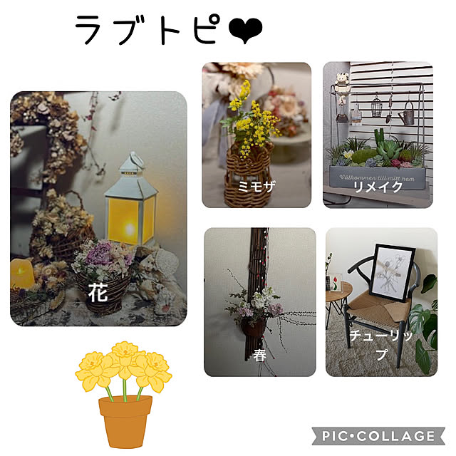 CoCo0617さんの実例写真