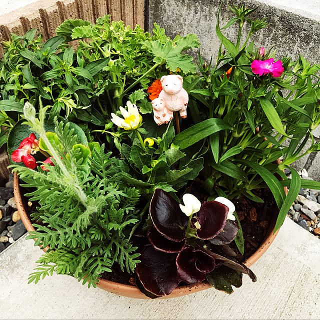 kukuku_666さんの実例写真
