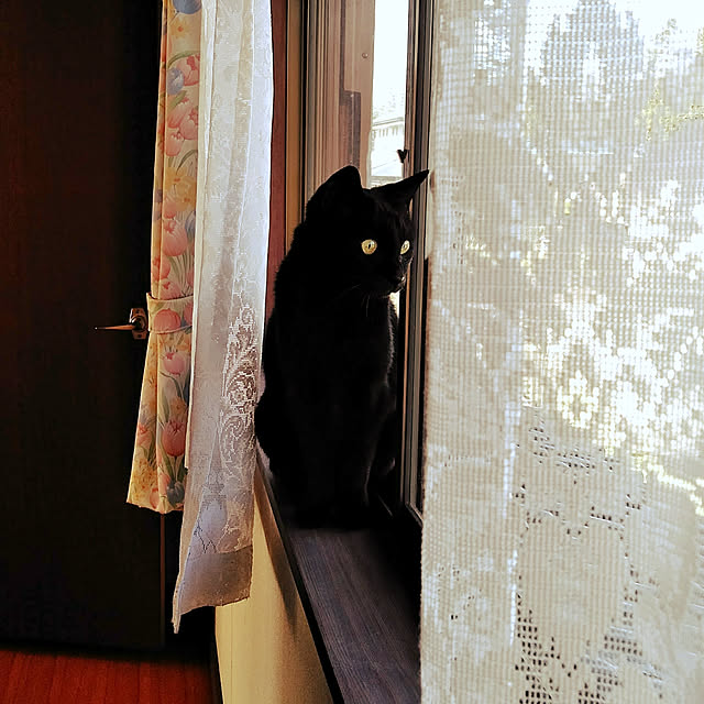 hiroさんの実例写真