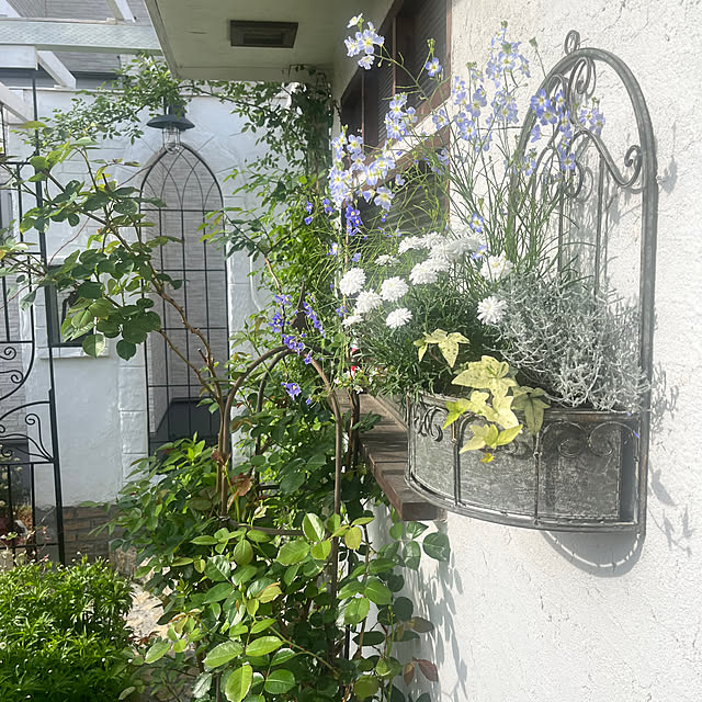 rinrinさんの部屋