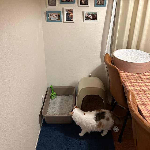 Akiさんの実例写真