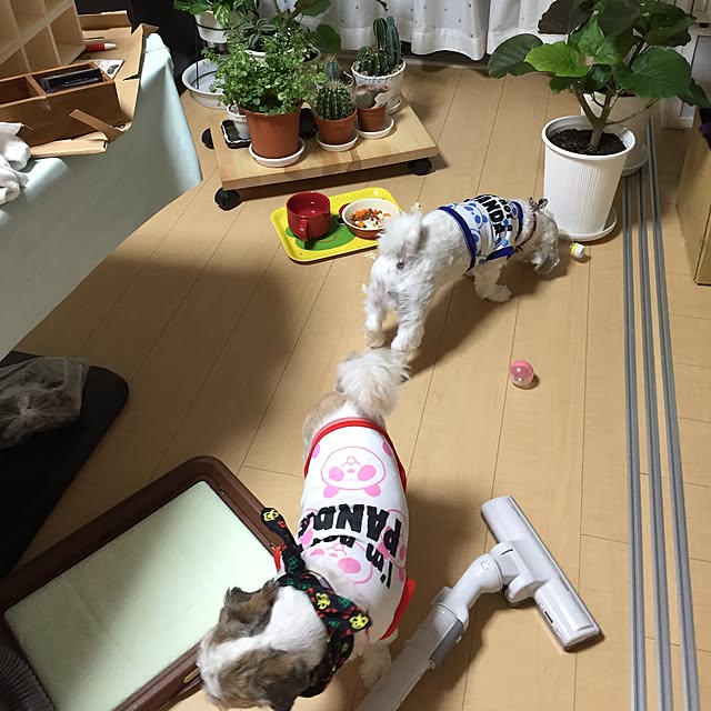 emiさんの実例写真