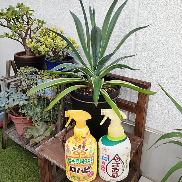 VERANDARJUNさんの実例写真