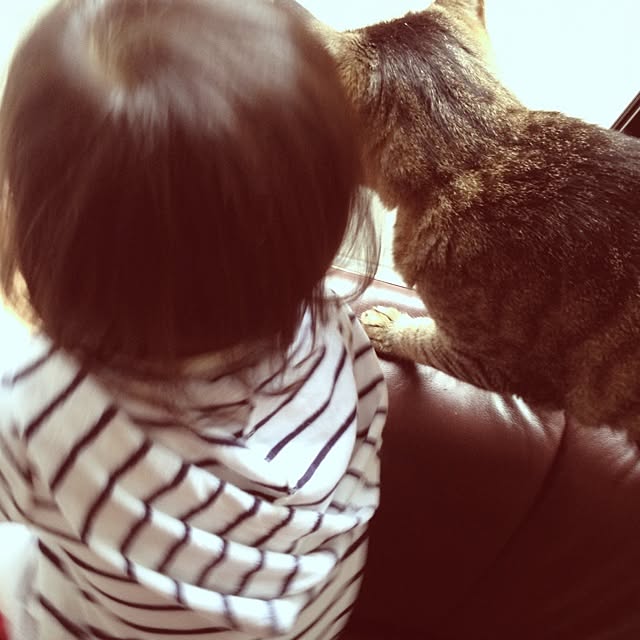 sellyoakさんの実例写真