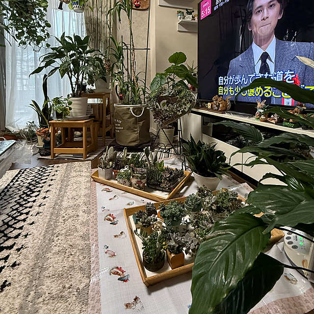 Aqettyさんの部屋
