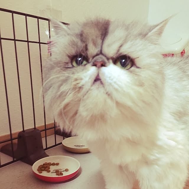 matsuさんの実例写真