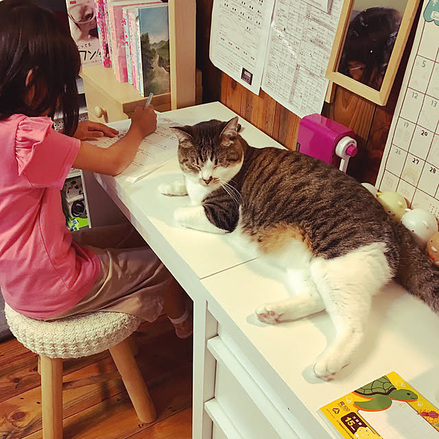 fukukoさんの実例写真