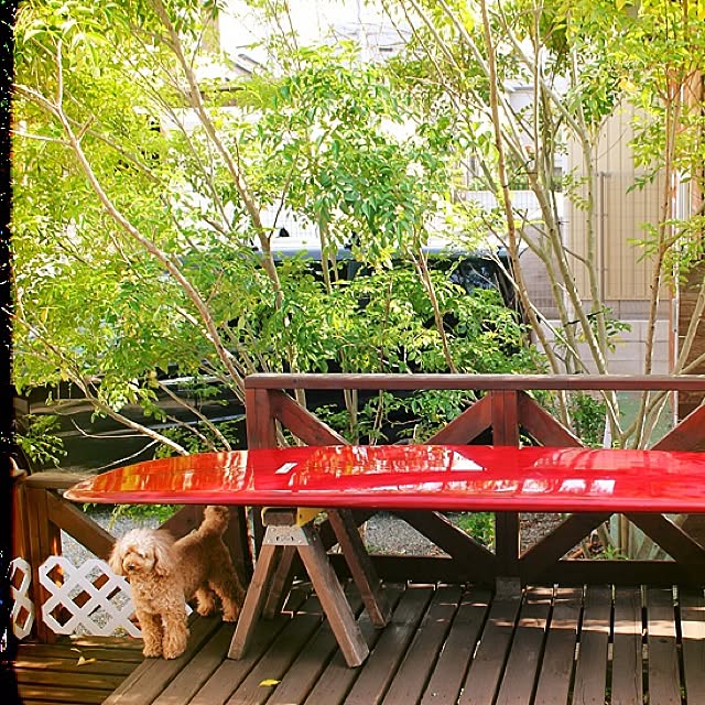 aloha1173さんの実例写真